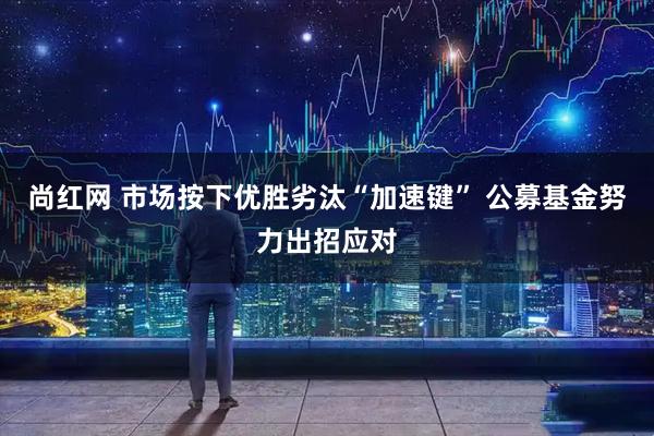 尚红网 市场按下优胜劣汰“加速键” 公募基金努力出招应对